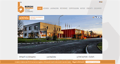Desktop Screenshot of borghi-impianti.com